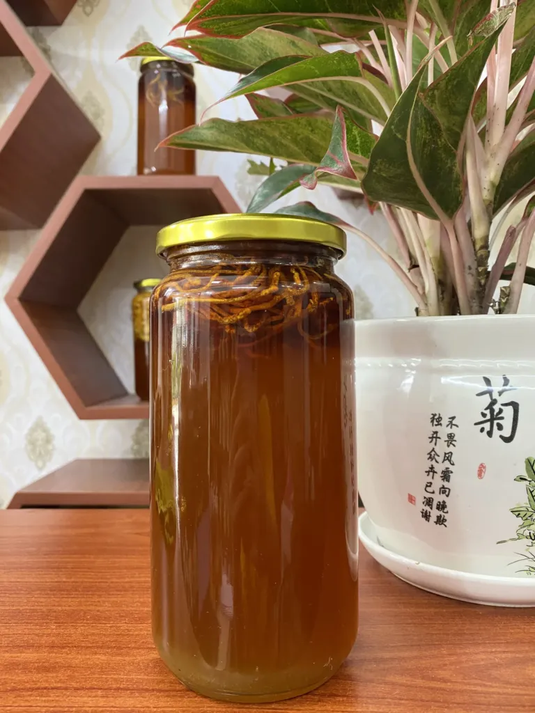 Đông trùng hạ thảo ngâm mật ong và lưu ý khi dùng 4 Df122e48eaad21f378bc