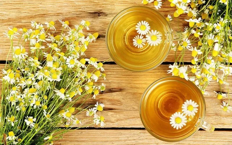 Cách làm trà hoa cúc mật ong giúp giảm stress hiệu quả