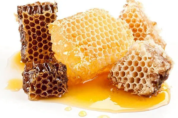 Mật ong ruồi là gì ? Những đặc điểm của mật ong ruồi 11 Image 30