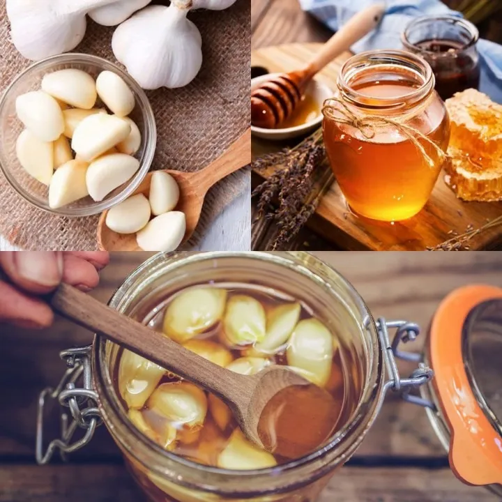 CÁC CÔNG DỤNG VÀ ĐIỀU CẦN BIẾT VỀ TỎI NGÂM MẬT ÔNG 14 Image 65