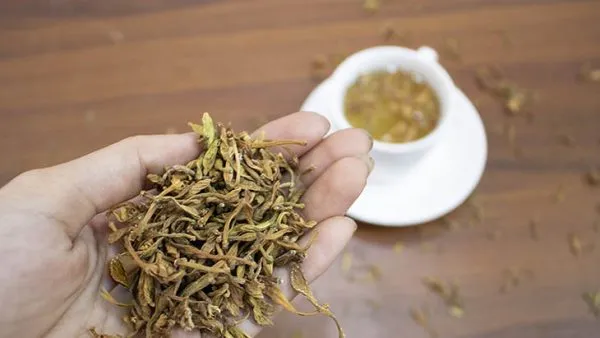 Hoa đu đủ đực chữa viêm loét dạ dày có thực sự hiệu quả? 2 Image 8