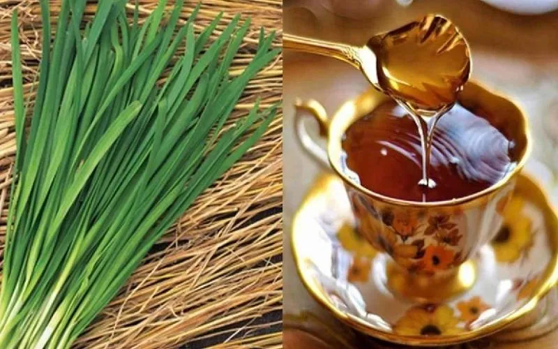 MẸO HAY CHỮA KHÀN TIẾNG BẰNG MẬT ONG CẤP TỐC CHỈ SAU VÀI LẦN SỬ DỤNG 11 Image 21