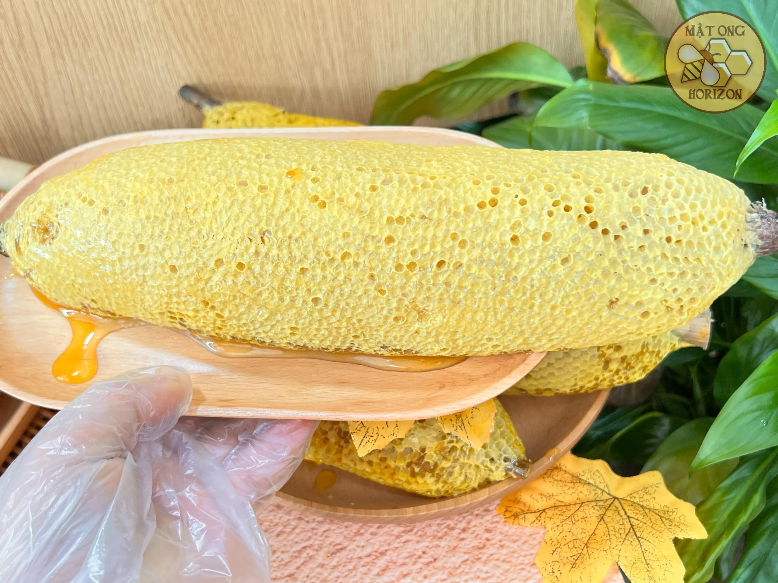 Tệp 28