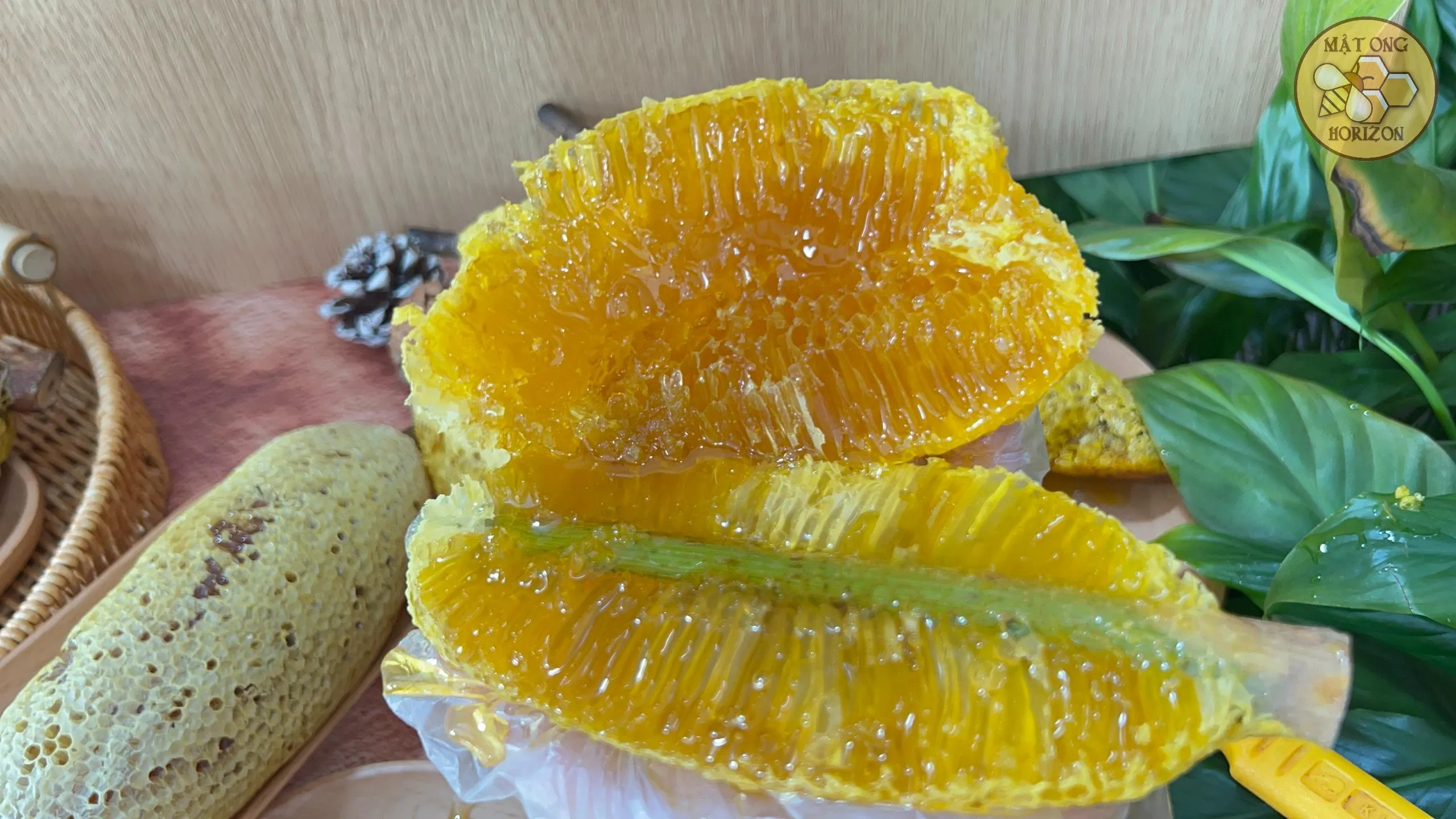 Tệp 81