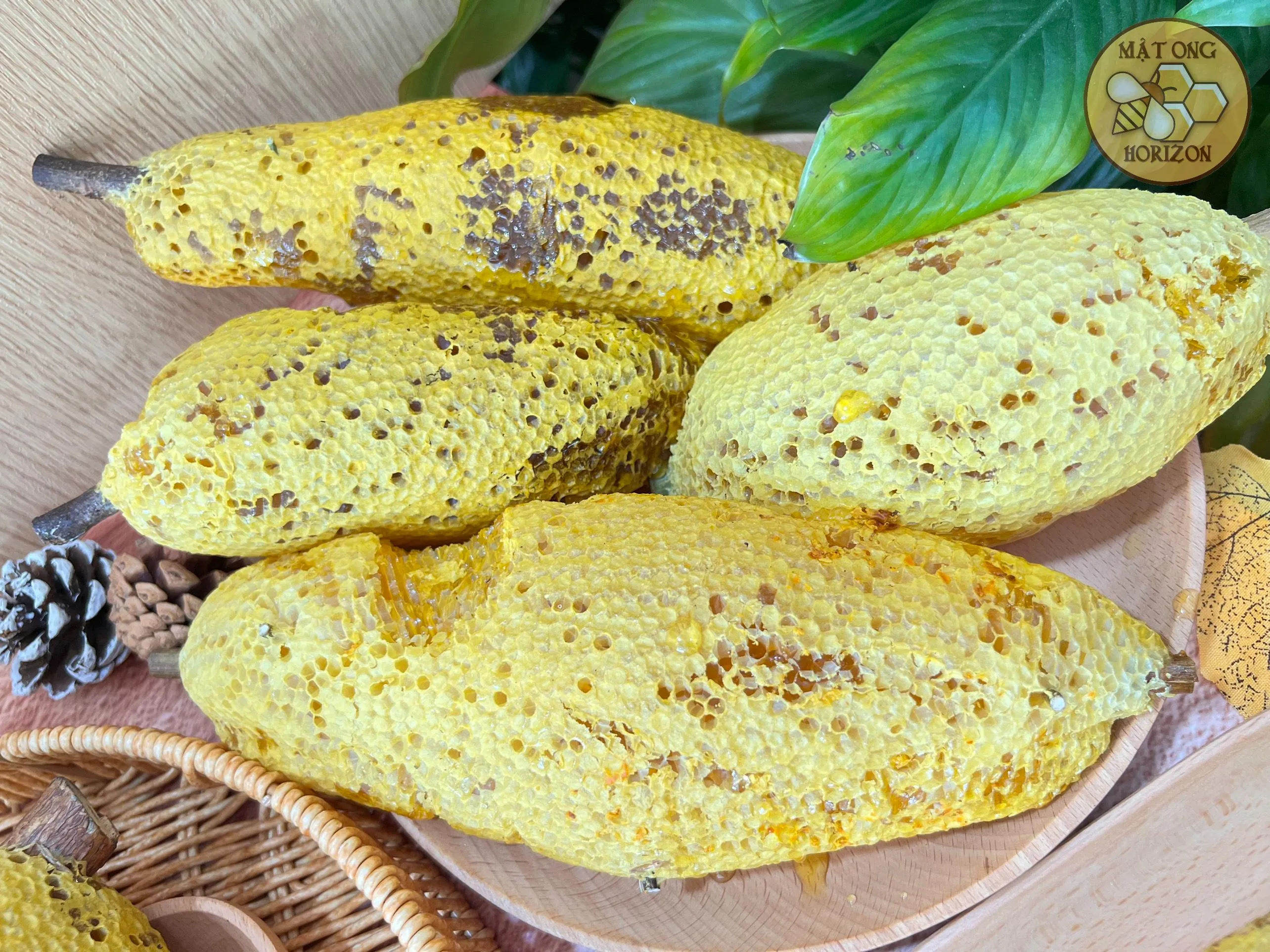 Tệp 50