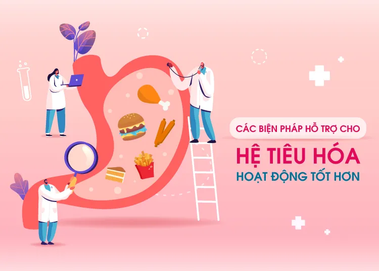 Cac Bien Phap Ho Tro Cho He Tieu Hoa Hoat Dong Tot Hon