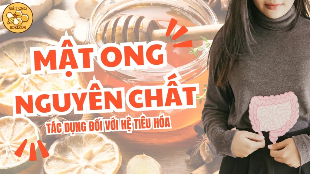 Mật ong: Tác dụng đối với hệ tiêu hóa 2 019327d1 Dcf8 7c3e 86a1 54afb67d6f79