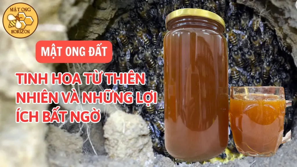 Mật ong đất: Tinh hoa từ thiên nhiên và những lợi ích bất ngờ