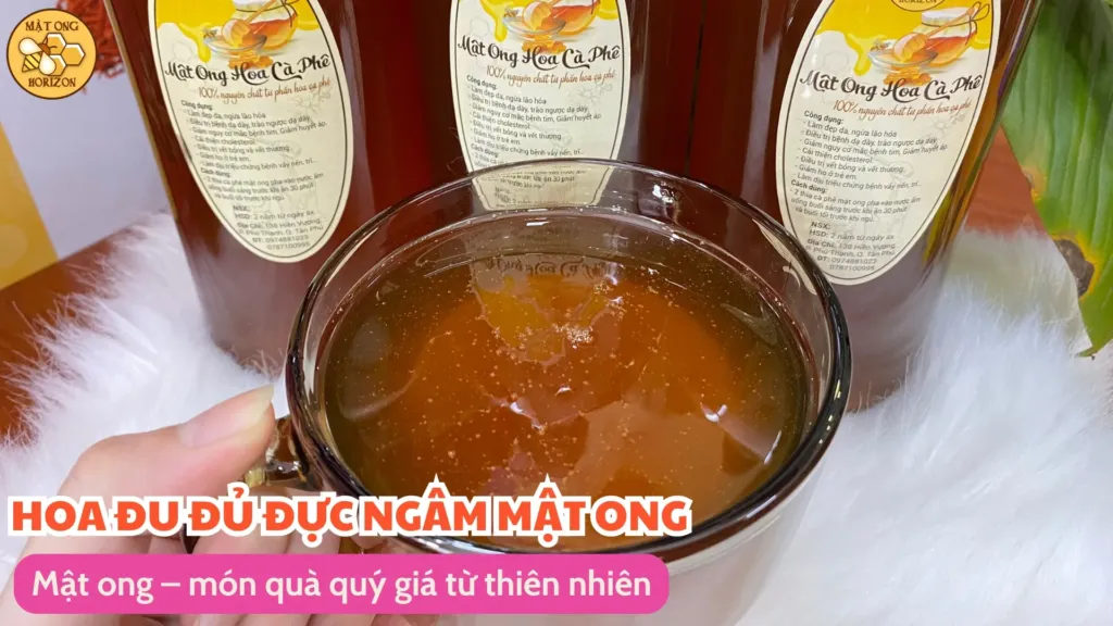 Mật ong – món quà quý giá từ thiên nhiên