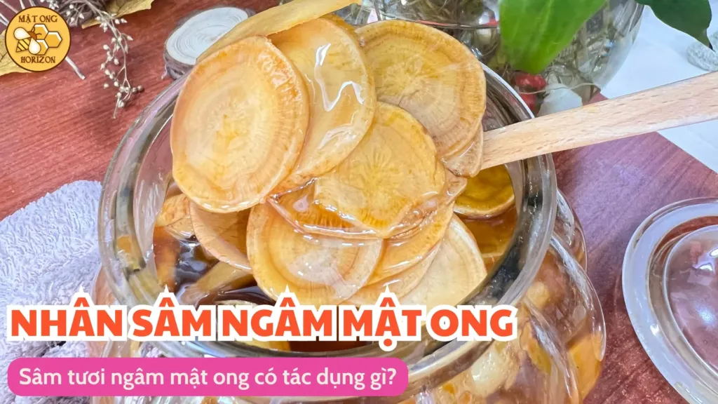 Sâm tươi ngâm mật ong có tác dụng gì 8 Sâm tươi ngâm mật ong có tác dụng gì