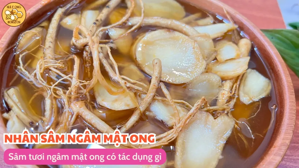 Sâm tươi ngâm mật ong có tác dụng gì 11 Sâm tươi ngâm mật ong có tác dụng gì