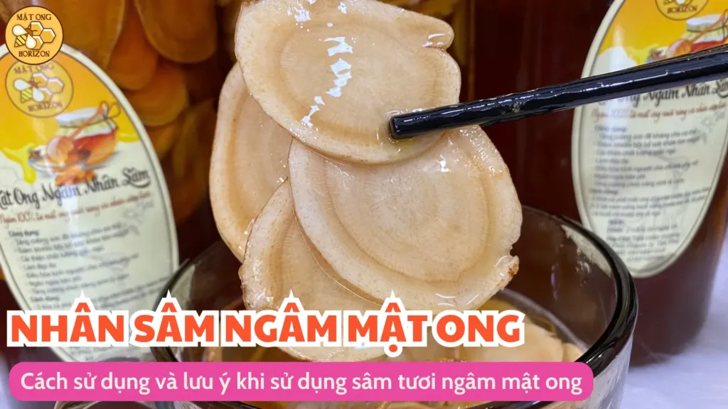 Sâm tươi ngâm mật ong có tác dụng gì 13 Cách sử dụng và lưu ý khi sử dụng sâm tươi ngâm mật ong