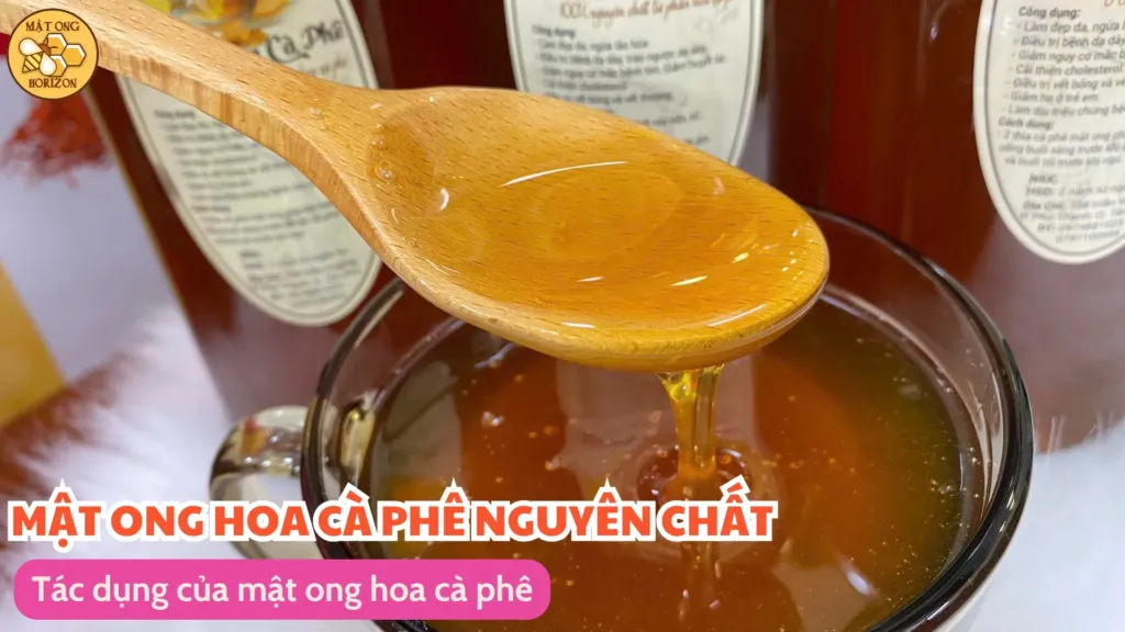 Tác dụng của mật ong hoa cà phê