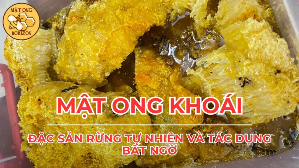 Mật ong khoái: Đặc sản rừng tự nhiên và tác dụng bất ngờ 6 Mật ong khoái: Đặc sản rừng tự nhiên và tác dụng bất ngờ