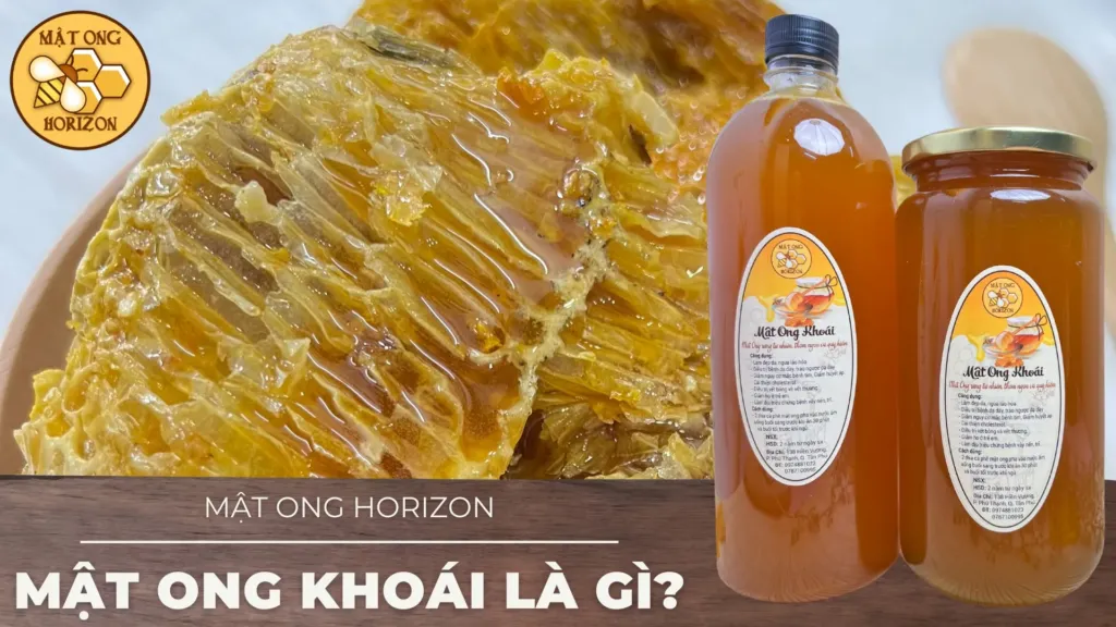 Mật ong khoái: Đặc sản rừng tự nhiên và tác dụng bất ngờ 7 mật ong khoái là gì