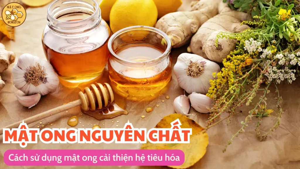 Tìm hiểu về lợi ích của mật ong trong việc cải thiện hệ tiêu hóa 10 Cách sử dụng mật ong cải thiện hệ tiêu hóa