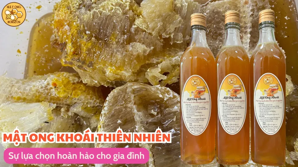 Sự lựa chọn hoàn hảo cho gia đình