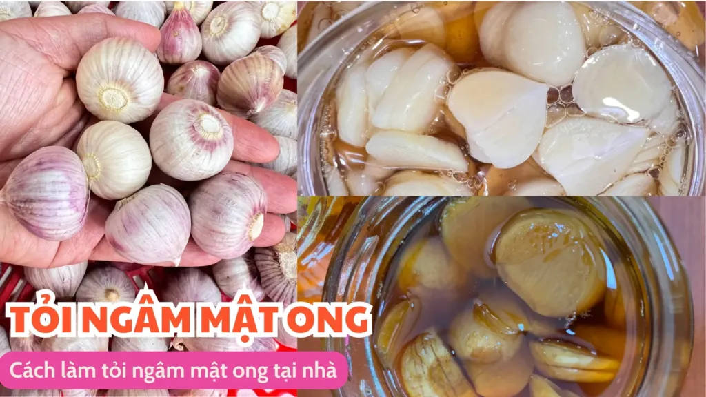 Cách làm tỏi ngâm mật ong tại nhà
