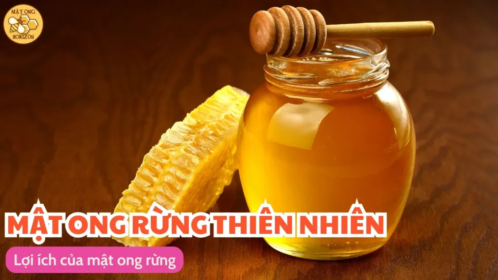 Khám phá đặc điểm của mật ong rừng 11 Lợi ích của mật ong rừng