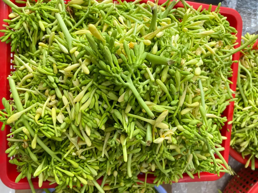 Tác dụng của hoa đu đủ đực ngâm mật ong: Bí quyết vàng cho sức khỏe 7 hoa đu đủ đực