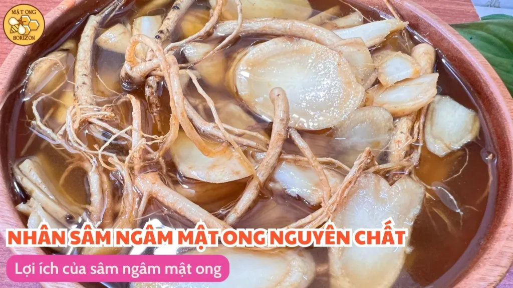 Lợi ích của sâm ngâm mật ong