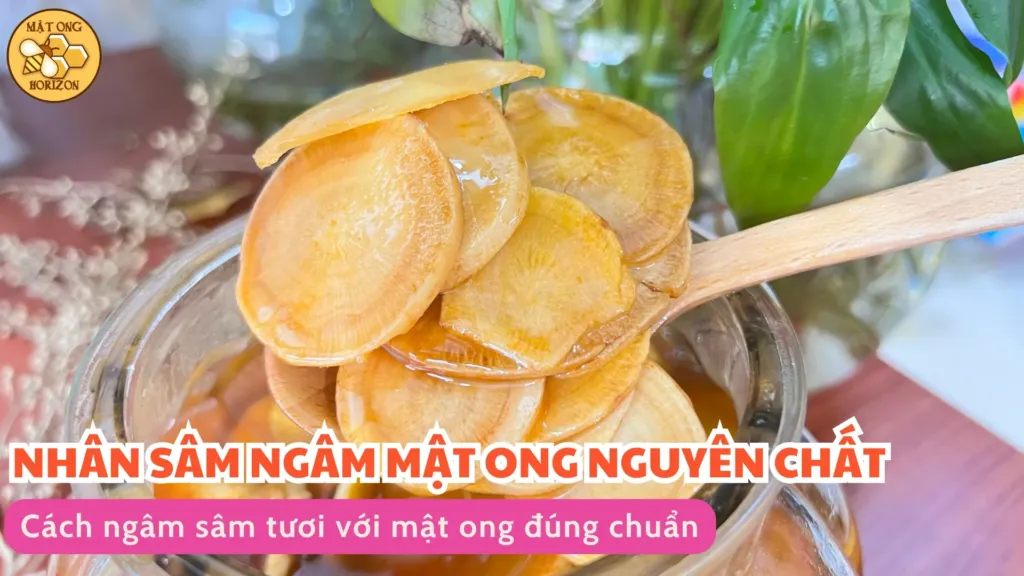 Cách ngâm sâm tươi với mật ong đúng chuẩn
