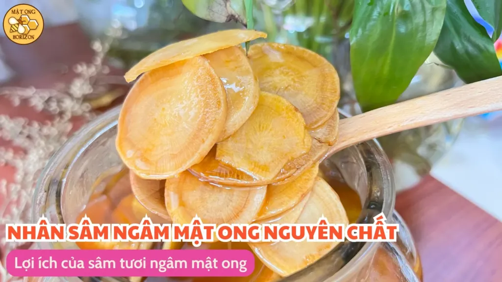 Lợi ích của sâm tươi ngâm mật ong