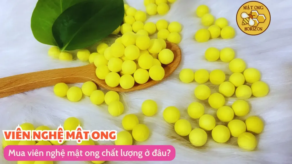 Mua viên nghệ mật ong chất lượng ở đâu?