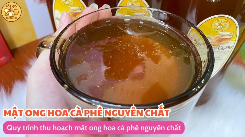Quy trình thu hoạch mật ong hoa cà phê nguyên chất