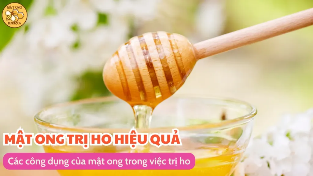 Các công dụng của mật ong trong việc trị ho