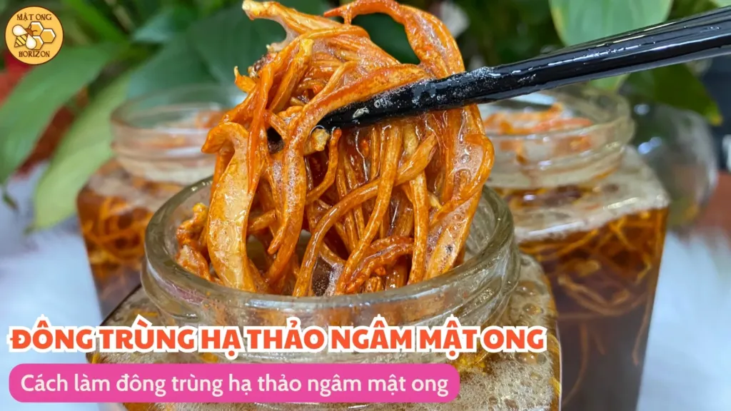 Cách làm đông trùng hạ thảo ngâm mật ong