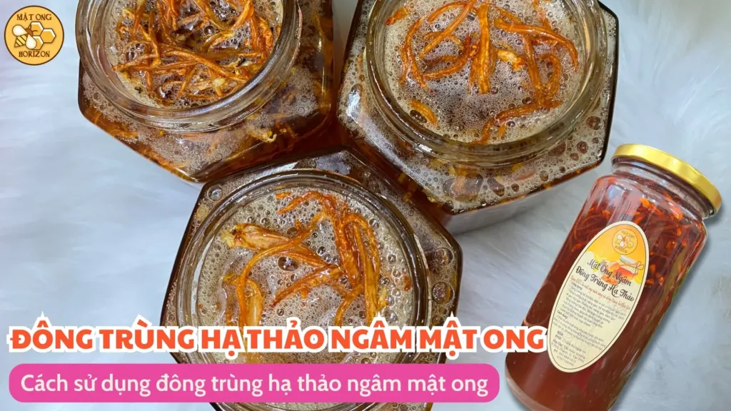 Cách sử dụng đông trùng hạ thảo ngâm mật ong