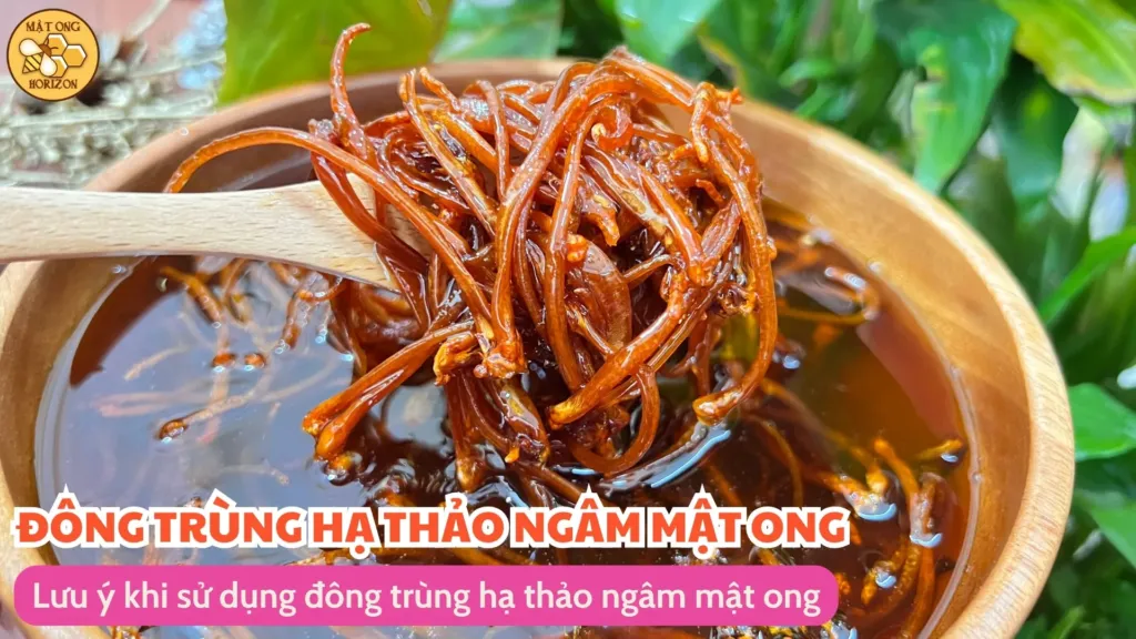 Lưu ý khi sử dụng đông trùng hạ thảo ngâm mật ong