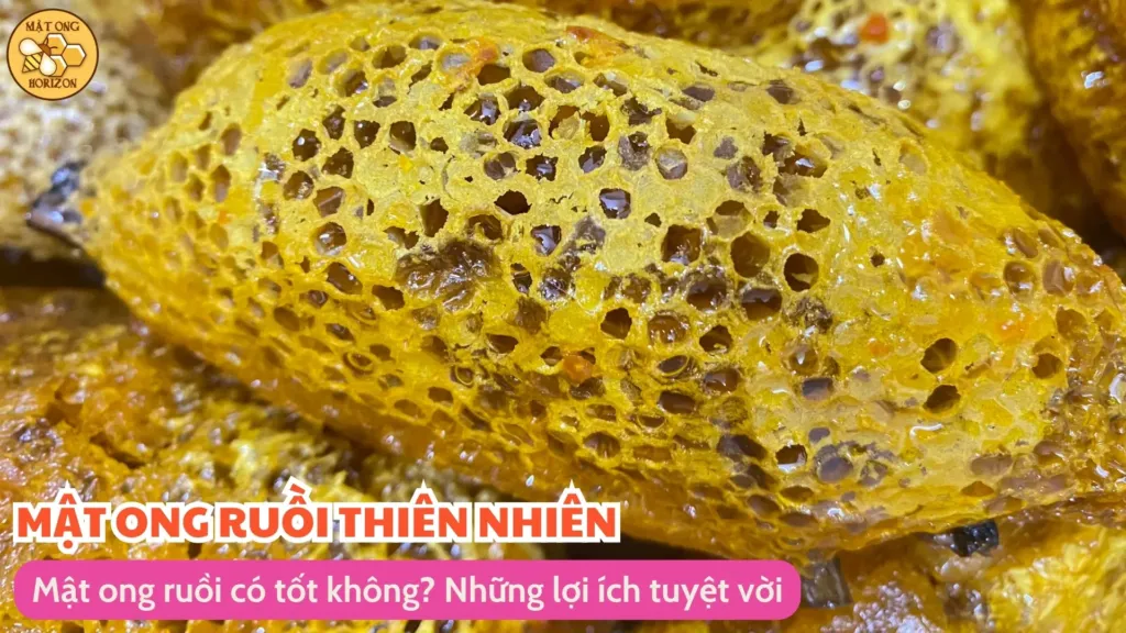 Mật ong ruồi có tốt không? Những lợi ích tuyệt vời