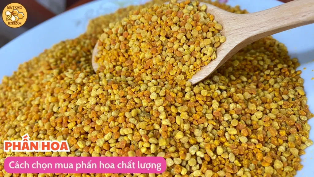 Cách sử dụng phấn hoa: Bí quyết tăng cường sức khỏe và sắc đẹp từ thiên nhiên 15 Cách chọn mua phấn hoa chất lượng