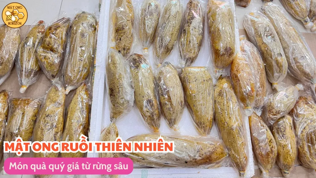 Mật ong ruồi thiên nhiên - Món quà quý giá từ rừng sâu