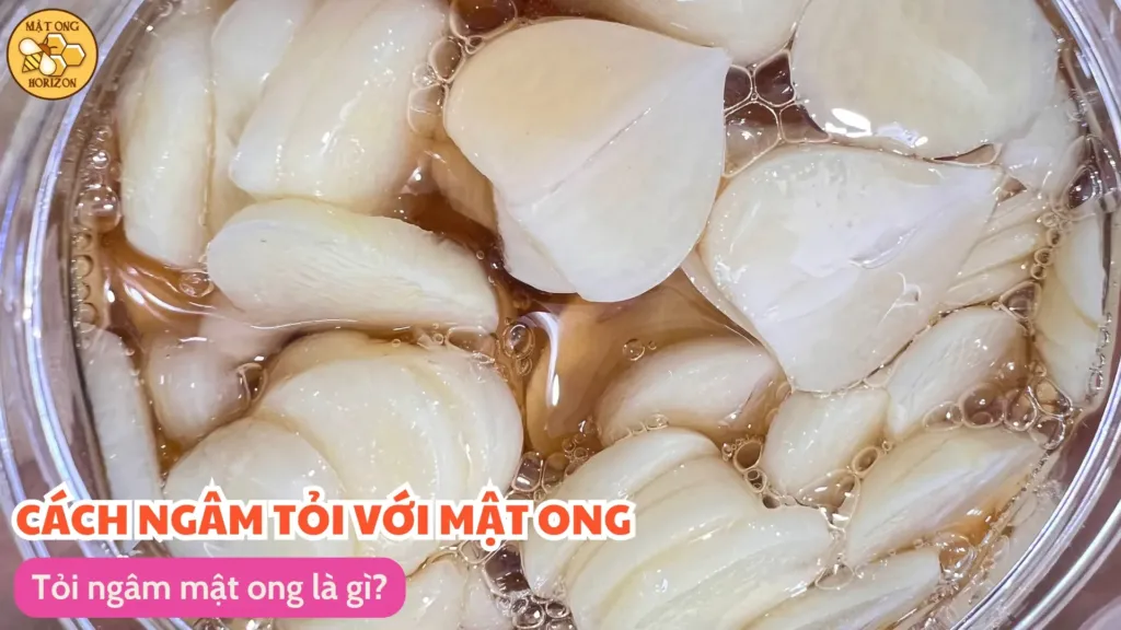 Tỏi ngâm mật ong là gì?