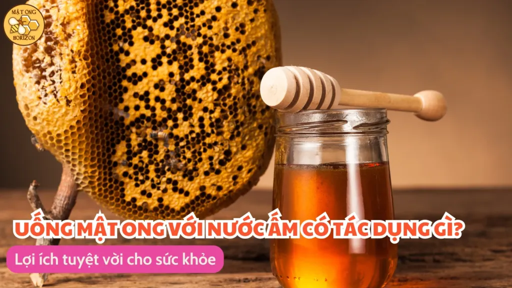 Uống mật ong với nước ấm có tác dụng gì? Lợi ích tuyệt vời cho sức khỏe
