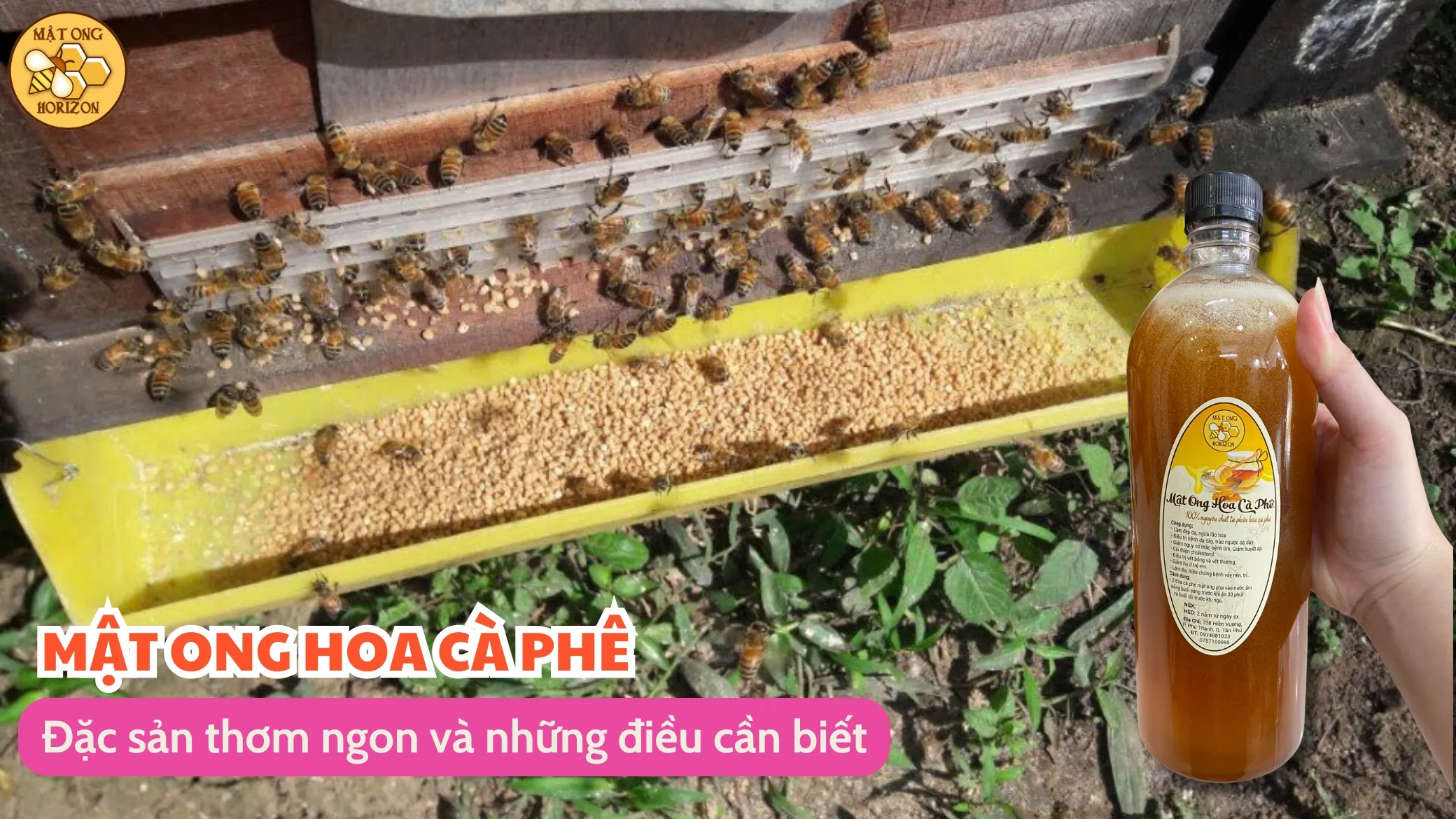Mật ong hoa cà phê: Đặc sản thơm ngon và những điều cần biết 3 Mật ong hoa cà phê: Đặc sản thơm ngon và những điều cần biết
