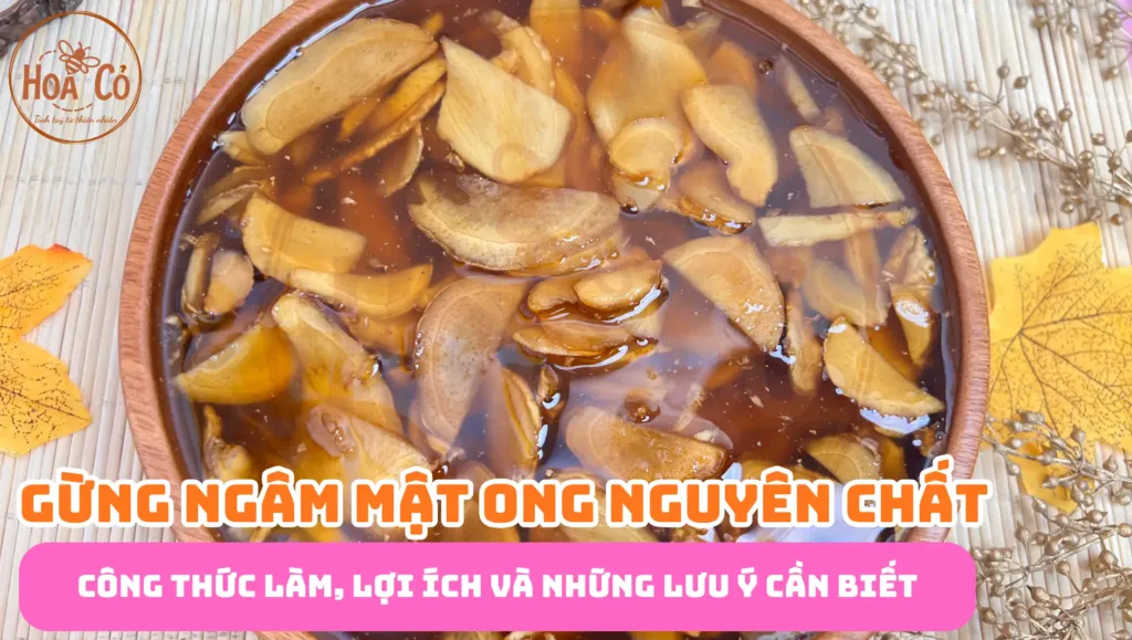 Gừng ngâm mật ong: công thức làm, lợi ích và những lưu ý cần biết 2 Gừng ngâm mật ong: công thức làm, lợi ích và những lưu ý cần biết