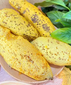 Tệp 8