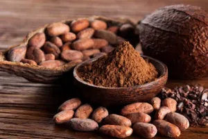 Bot Cacao