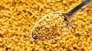 Bật mí 5 cách uống phấn hoa hiệu quả nhất