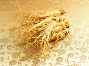 Nhan Sam 2