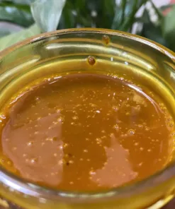 Tệp 179