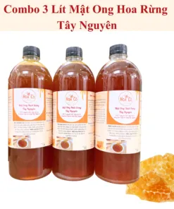 Combo 3 Lít Mật Ong Hoa Rừng Tây Nguyên