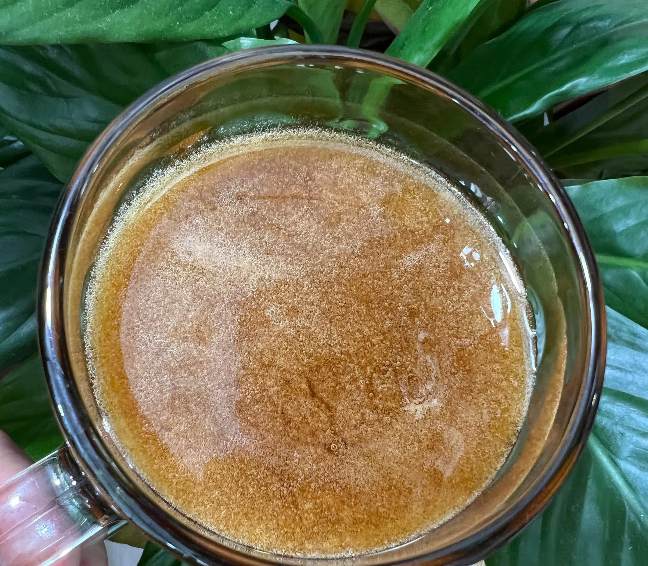 Mật ong dú rừng thiên nhiên 4 Z5060487378378_16eeb4e9d0c96e77f99e92cb349cb360