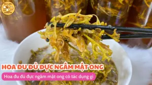 Hoa đu đủ đực ngâm mật ong có tác dụng gì
