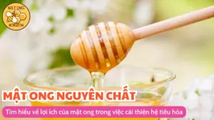 Tìm hiểu về lợi ích của mật ong trong việc cải thiện hệ tiêu hóa