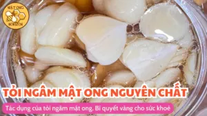 Tác dụng của tỏi ngâm mật ong: Bí quyết vàng cho sức khỏe